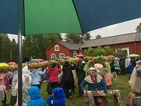 Carrying the Midsommar pole