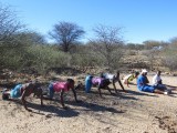 Straf punten, push-ups