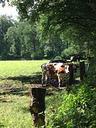 This one special for the farmers among us
