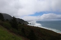 Sea lion cave