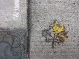 20151006_132914