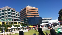 IMG_5950
