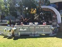 IMG_5953