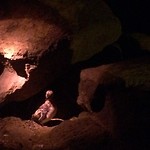 IMG_5970