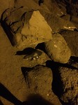 IMG_5981