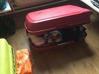 IMG_0428