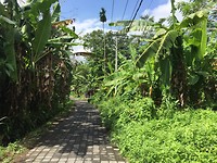 IMG_5892