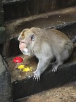 IMG_5897