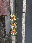 IMG_2347