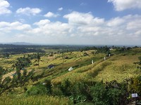 IMG_6153