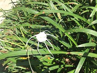 IMG_6282