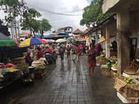 IMG_6272