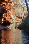 Hof van Eden