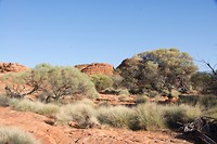 Kings Canyon