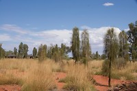 natuur