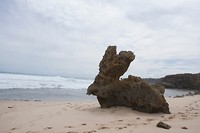 Bunny rock