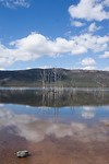 Lake Bellfield