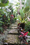 Homestay
