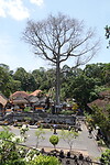 Elephant cave
