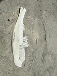 Vondst op het strand