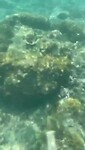 Snorkeltocht