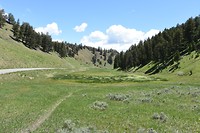 DSC_8596