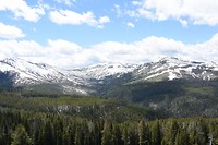 DSC_8599
