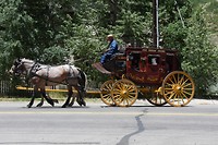 DSC_0034