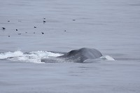 DSC_1364
