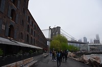 DUMBO