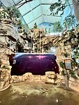 Bass pro shop