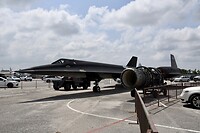 Blackbird