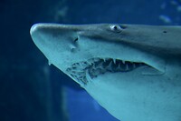 IMG_2854