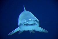IMG_2852
