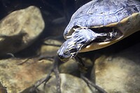 IMG_2851