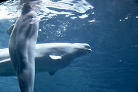 IMG_2849