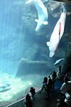 IMG_2845