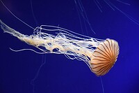 IMG_2841