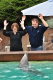 Dolphin encounter, Sea world