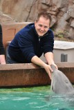 Dolphin encounter, Sea world