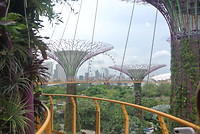 B25D2221-7B36-4CA3-907B-D0EF54DBB966