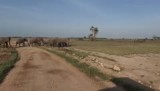 Amboseli National Park