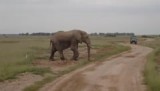 Amboseli National Park