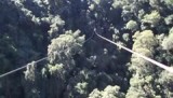 Zip Line