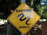 Snake country