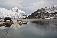 DSC_0019 (2)