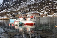 DSC_0025 (2)