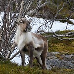 DSC_0047 (2)