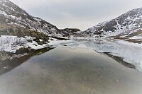 DSC_0056 (2)