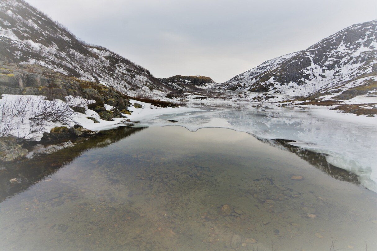DSC_0056 (2)